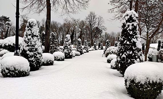 Mimo utrudnie� jakie niesie, zima w Mi�dzyzdrojach zachwyca!