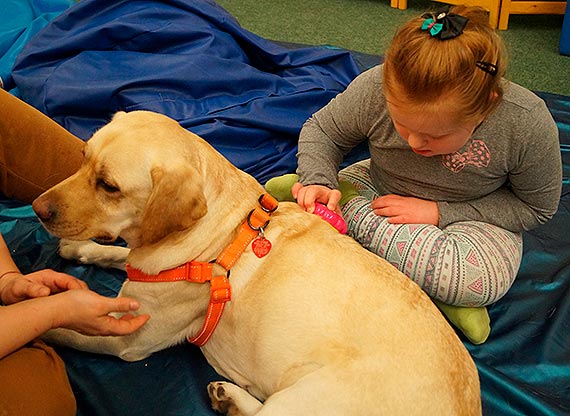 Kynoterapia realizowana przez podopiecznych Polskiego Stowarzyszenia na rzecz Os�b z Niepe�nosprawno�ci� Intelektualn� Ko�o w Kamieniu Pomorskim w ramach projektu pn. ,,Prowadzenie rehabilitacji os�b Niepe�nosprawnych w r�nych typach plac�wek’