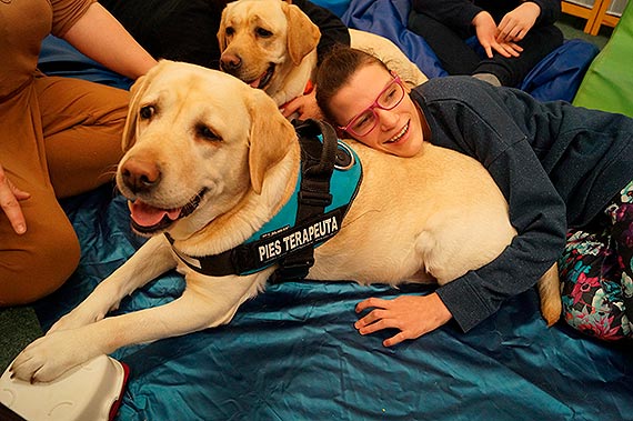 Kynoterapia realizowana przez podopiecznych Polskiego Stowarzyszenia na rzecz Os�b z Niepe�nosprawno�ci� Intelektualn� Ko�o w Kamieniu Pomorskim w ramach projektu pn. ,,Prowadzenie rehabilitacji os�b Niepe�nosprawnych w r�nych typach plac�wek’