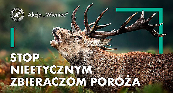 Stop nieetycznym zbieraczom poroa