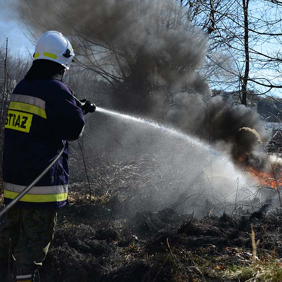 Poary traw i nieuytkw w powiecie kamieskim