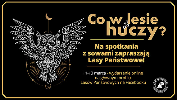 Lenicy zapraszaj na Sowi Noc