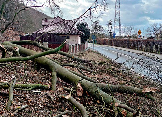 Dzicio nie pomoe.  Kto usunie miertelne niebezpieczestwa?