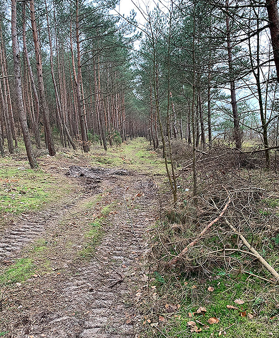 Ze winoujcia do Midzyzdrojw. Budowa drogi rowerowej