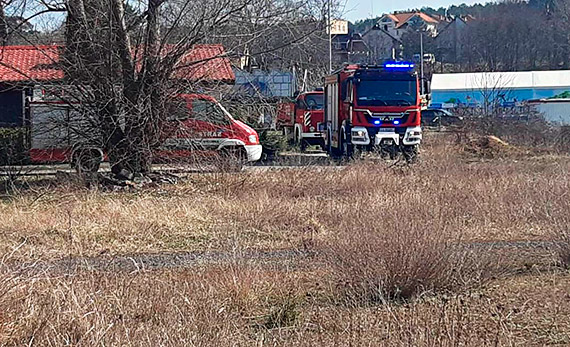 W Midzyzdrojach pony trawy. Straacy przypominaj, e wypalanie traw bardziej szkodzi ni pomaga