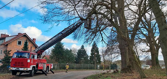 Silny wiatr da� si� we znaki. Stra�acy - ochotnicy usuwali zwisaj�ce konary i powalone drzewo