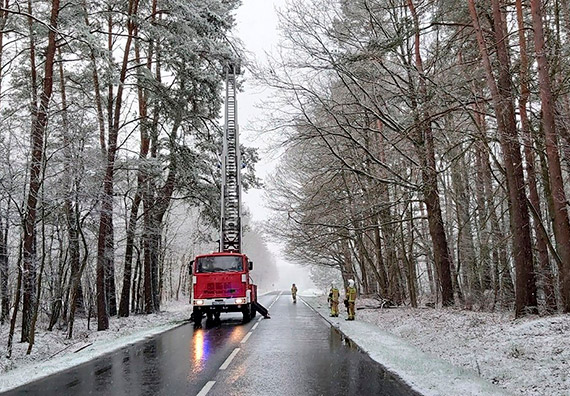 Silny wiatr da� si� we znaki. Stra�acy - ochotnicy usuwali zwisaj�ce konary i powalone drzewo