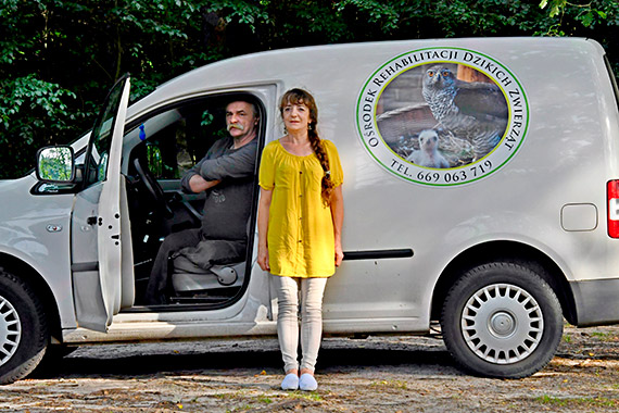 O�rodek Rehabilitacji dla Dzikich Zwierz�t w Warnowie wznawia dzia�alno��