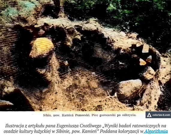 1960: Badania osady kultury �u�yckiej w Sibinie