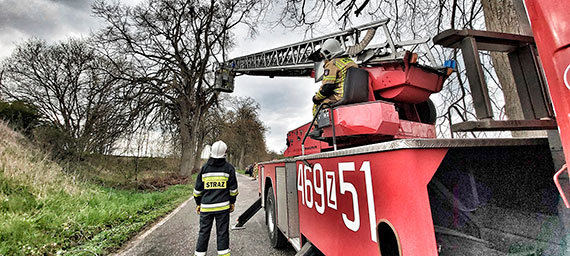 Pracowity dzie straakw z Koczewa. Alarm bombowy w szkole i zwisajcy konar nad jezdni