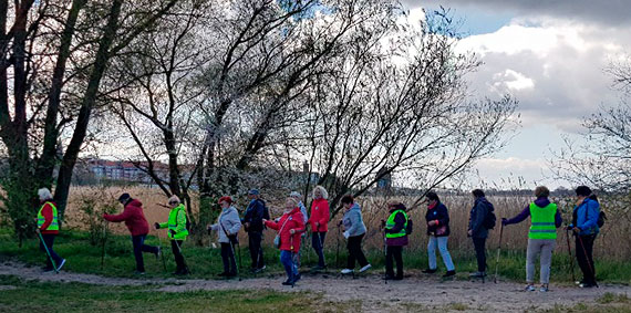 Marsz Nordic Walking studentw SUTW w Kamieniu Pomorskim 08.05.2021