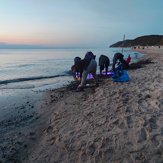 Poszukiwacze bursztyn�w na �owach w Mi�dzyzdrojach 