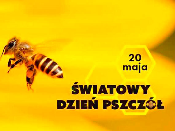 Dzi 20 maja, obchodzimy wiatowy Dzie Pszcz