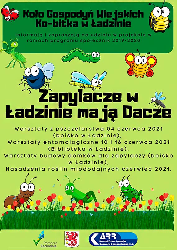 „Zapylacze w adzinie maj Dacze” - to projekt realizowany z programu Spoecznik