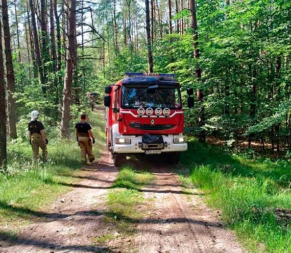 Straacy z powiatu kamieskiego wiczyli jak gasi las