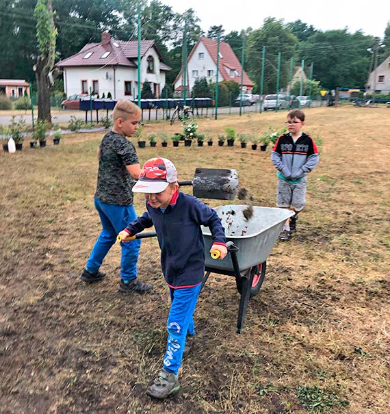 Zapylacze w adzinie maj ju Dacze