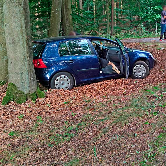 Na DK3 nie przestawili drzewa-pechowe cofanie samochodu