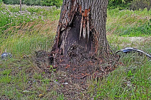 Tragiczny wypadek na drodze pomi�dzy Wapnic� a Wickiem. Kierowca osob�wki uderzy� w topol�, nie �yje 39 - letni pasa�er!