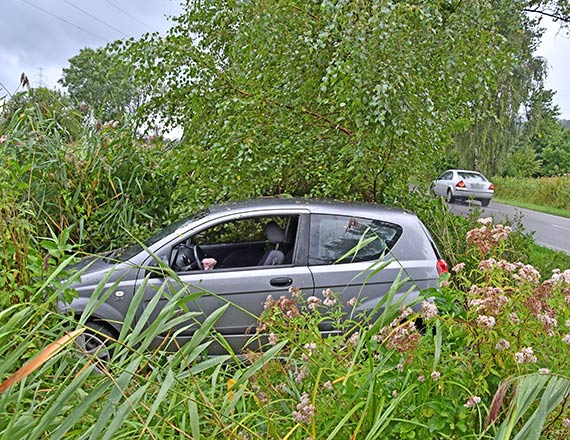 Chevrolet w trzcinach