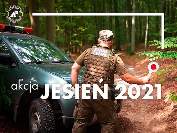 Akcja „Jesie 2021”