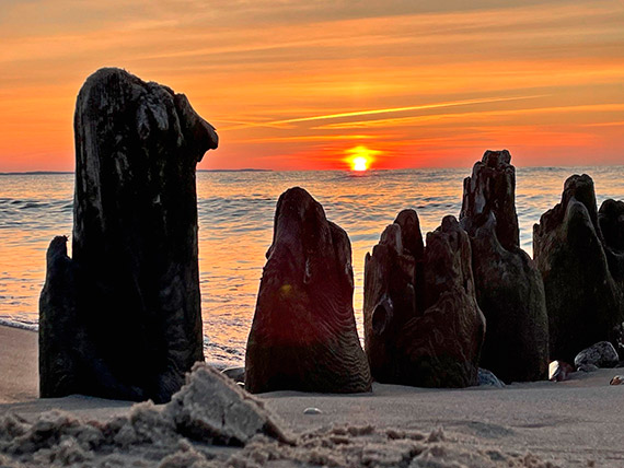 Konkurs fotograficzny rozstrzygni�ty