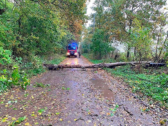 Wiatr wyrzdzi spore szkody. Od czwartku straacy interweniowali prawie 50 - razy