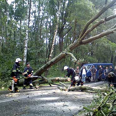 Region: Ulewny deszcz zalewa posesje. Wiatr amie drzewa