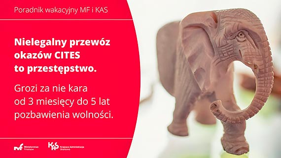 Handel zagroonymi gatunkami rolin i zwierzt jest karalny