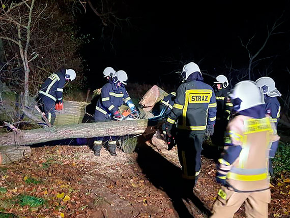 W gminie Kamie Pomorski drzewo runo na drog