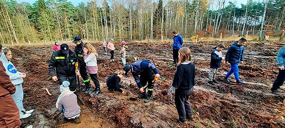 Wyj�tkowa inicjatywa. Stra�acy, Nadle�nictwo Mi�dzyzdroje oraz uczniowie ze szko�y w Ko�czewie wsp�lnie posadzili m�ode d�by