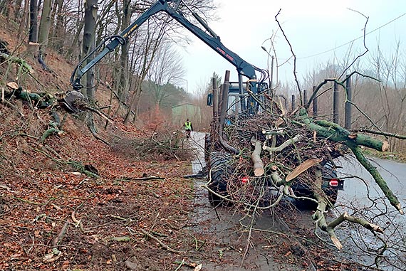 Wapnica. Po wichurach pi�y posz�y w ruch