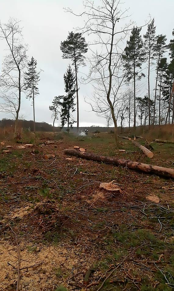 Ognisko powodem wyjazdu straakw ze wierzna