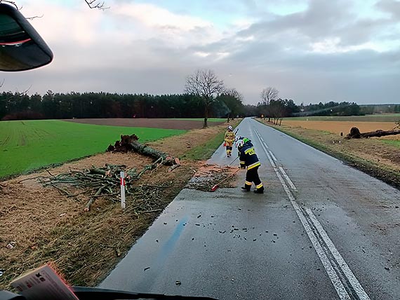 Silny wiatr mocno hula w powiecie kamieskim. W Duniewie zerwa wiat garau, powali wiele drzew