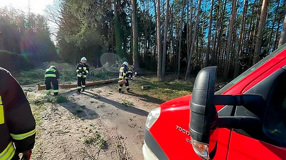 OSP Stuchowo braa udzia w usuwaniu skutkw wichury