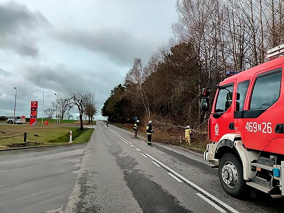 OSP Golczewo kilka razy wyjedaa usuwa skutki wichury