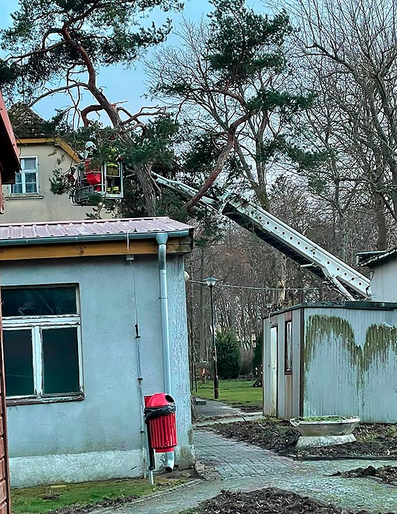 Ni Eukenia wyrzdzi szkody na terenie orodka wczasowego w Dziwnowie 