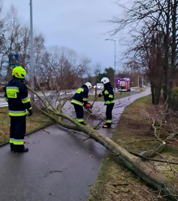 Poczone siy straakw usuway skutki wichury