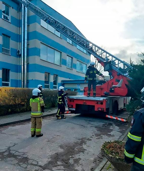 Radosaw Drozdowicz, wjt Gminy wierzno, dzikuje straakom