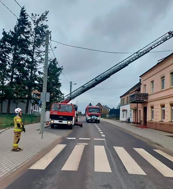 Radosaw Drozdowicz, wjt Gminy wierzno, dzikuje straakom