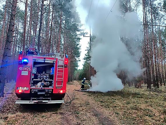 Straacy z OSP Golczewo ugasili poar ciki lenej