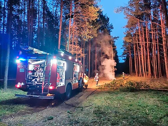 Straacy z OSP Golczewo ugasili poar ciki lenej