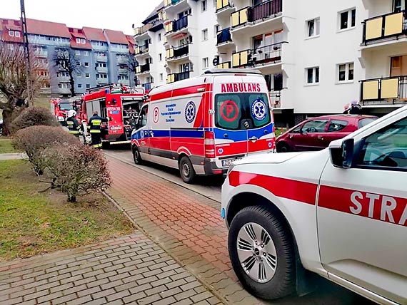 Poar mieszkania w Wolinie! W rodku znajdowaa si jedna osoba