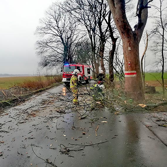 Znw mocniej wieje. W powiecie kamieskim straacy w zwizku z silnym wiatrem interweniowali ju 27 - razy