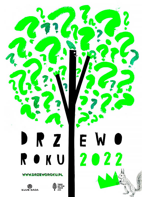 Wybieramy Drzewo Roku 2022