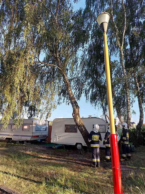 Pknite i pochylone drzewo zagraao bezpieczestwu turystw na campingu