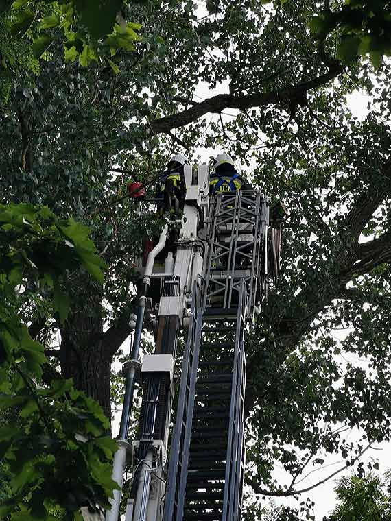 Ga zagraaa przechodniom. Straacy szybko uporali si z niebezpieczestwem