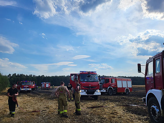 Groźny pożar w gminie Golczewo. Żywioł zajął ściernisko, kombajn i las!