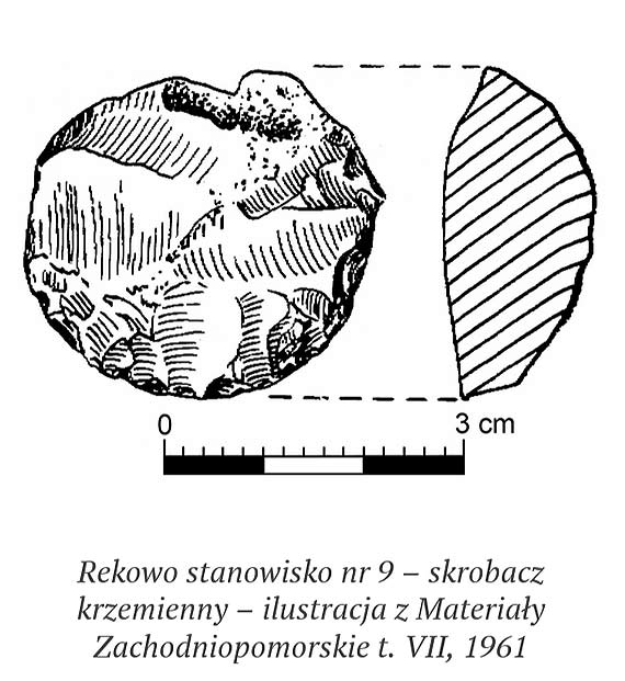 1961: badania powierzchniowe w Rekowie