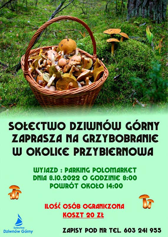 Wyjazd na grzybobranie