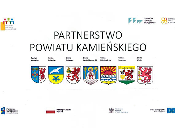 Partnerstwo Powiatu Kamieskiego - raport diagnostyczny